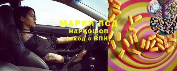 шишки Белоозёрский