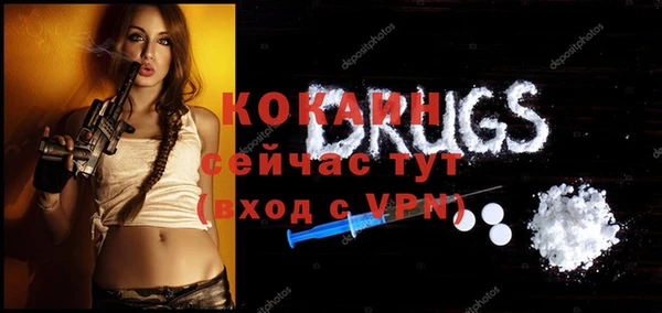 шишки Белоозёрский