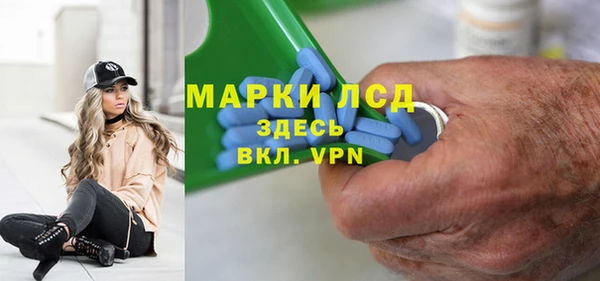 шишки Белоозёрский