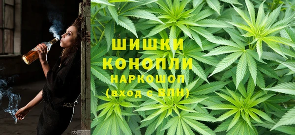 кокс Белокуриха