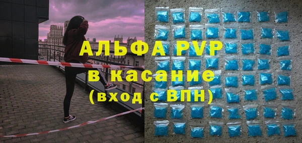 шишки Белоозёрский