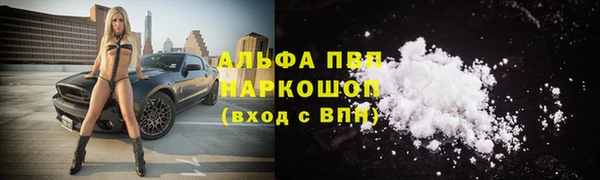 шишки Белоозёрский