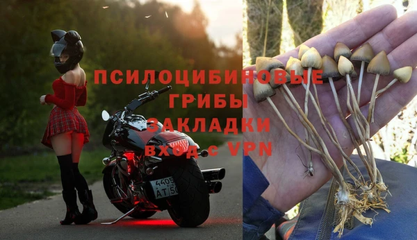 шишки Белоозёрский