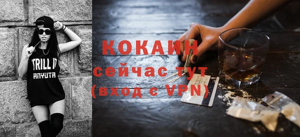 шишки Белоозёрский