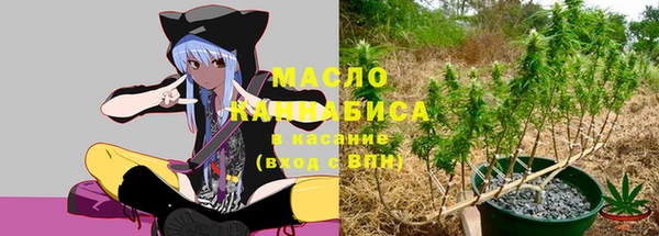 шишки Белоозёрский
