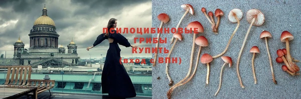 jwh Беломорск