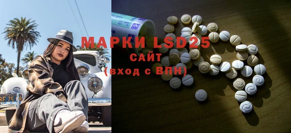 шишки Белоозёрский