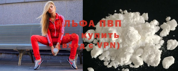 шишки Белоозёрский