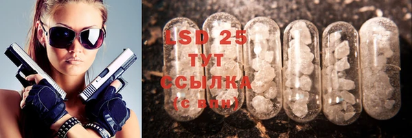 шишки Белоозёрский