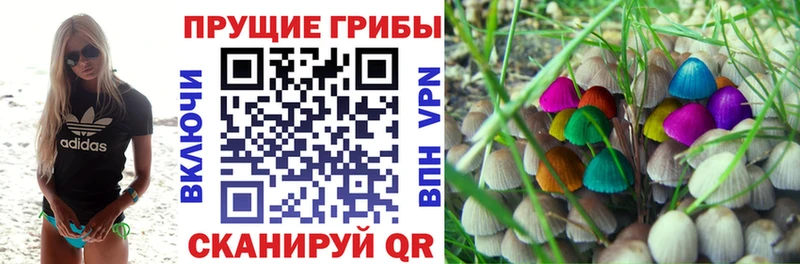 Галлюциногенные грибы прущие грибы Малоярославец