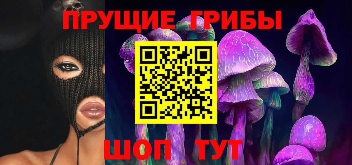Псилоцибиновые грибы прущие грибы  Псилоцибиновые грибы GOLDEN TEACHER  Малоярославец  Вход с VPN 