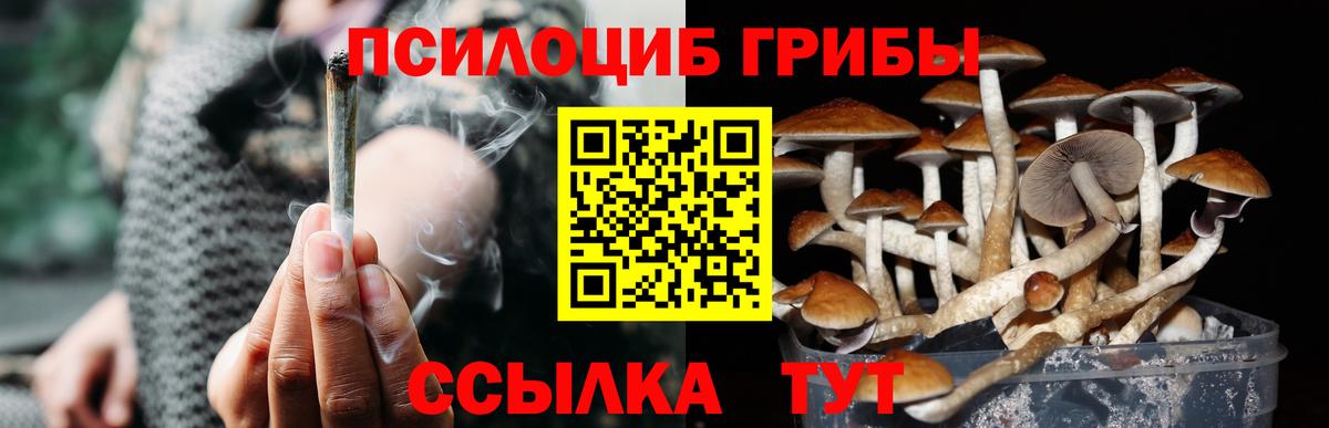 Галлюциногенные грибы мицелий Малоярославец
